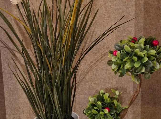 Sensation 1 * Aziz Konstantin ve Elena